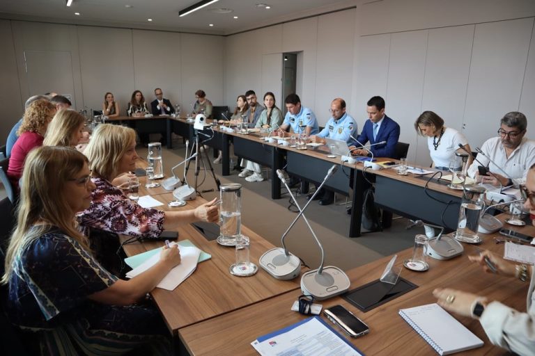 Reunião estratégica – Rede Metropolitana de Interação e Intervenção no âmbito da Igualdade e da Violência Doméstica